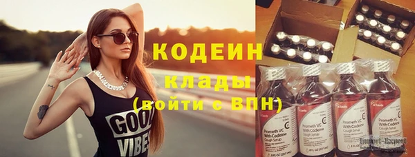 хмурый Кодинск