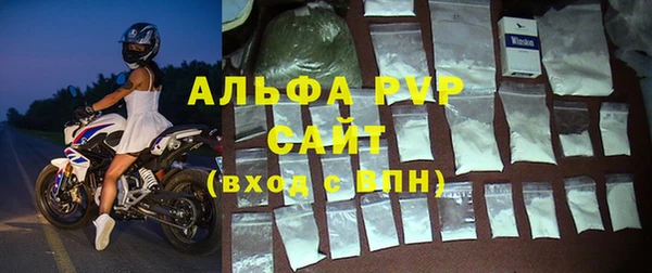 стафф Козельск