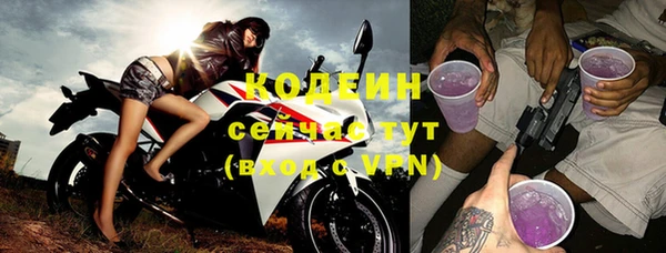 хмурый Кодинск