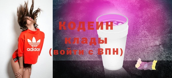 хмурый Кодинск