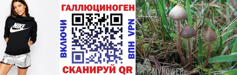 Галлюциногенные грибы мухоморы  MEGA зеркало  Краснослободск 